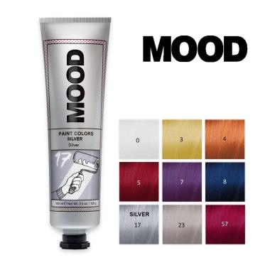 Mood paint colors silver 17