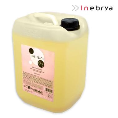 Inebrya dry-t shampoo 10 litri